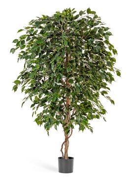 Искусственные растения