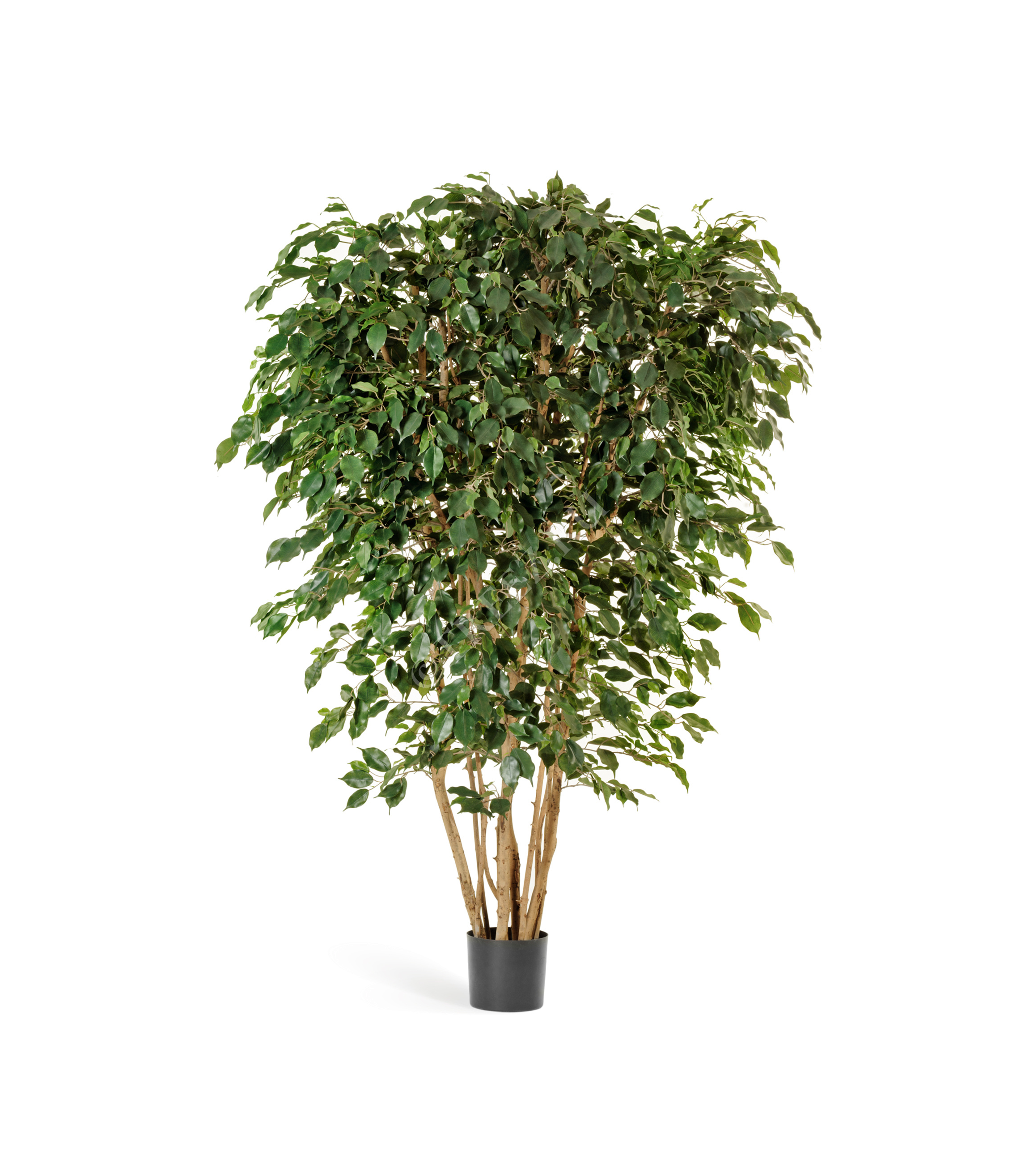 Искусственные растения