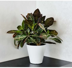 gorshok-estoril-o25cm-x-h24cm-denim.jpg
