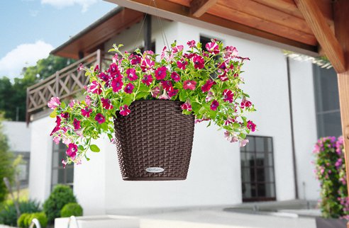 NIDO-Cottage-Self-watering-hanging-basket.png.492x0_q85_crop-smart.jpg NIDO-Cottage-Self-watering-hanging-basket.png.492x0_q85_crop-smart.jpg