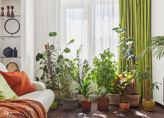 HOUZZ 02.jpg HOUZZ 02.jpg