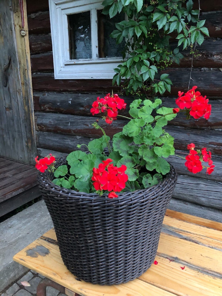 РОТАНГ34КД 6.jpg