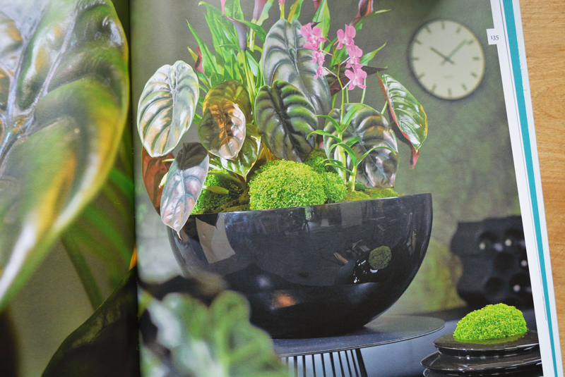 Архитектура-и-растения.-Обзор-книги-«Interior-Design-with-Plants»-031.jpg Архитектура-и-растения.-Обзор-книги-«Interior-Design-with-Plants»-031.jpg