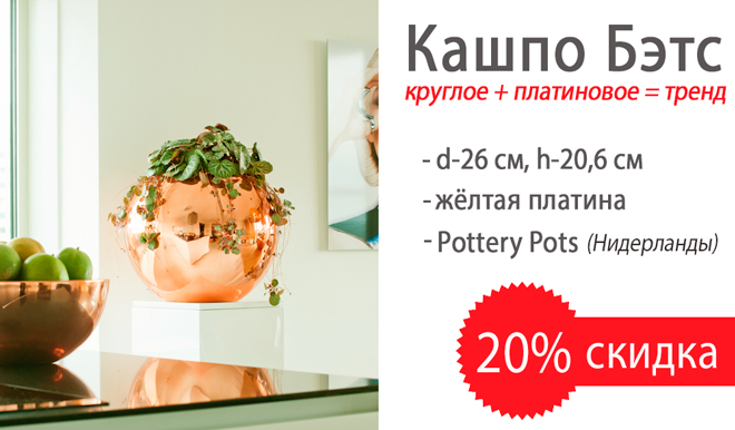 кашпо-бэтс-новость.jpg кашпо-бэтс-новость.jpg