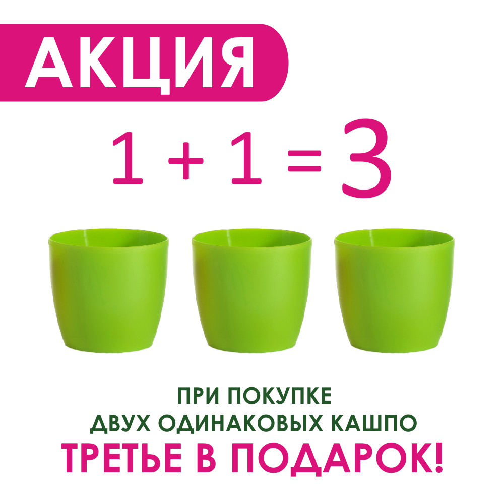 5.png 5.png