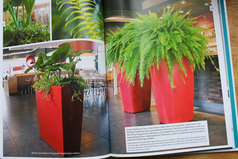 Архитектура-и-растения.-Обзор-книги-«Interior-Design-with-Plants»-021.jpg Архитектура-и-растения.-Обзор-книги-«Interior-Design-with-Plants»-021.jpg