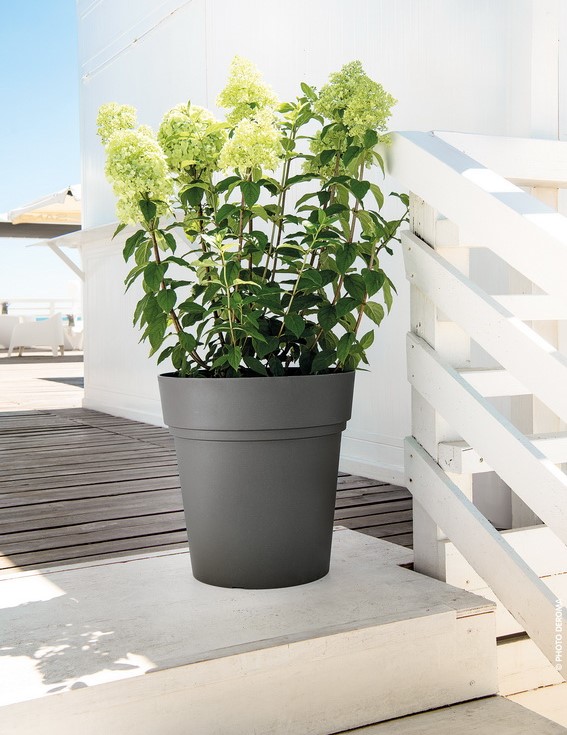 vaso-samba-athracite.jpg