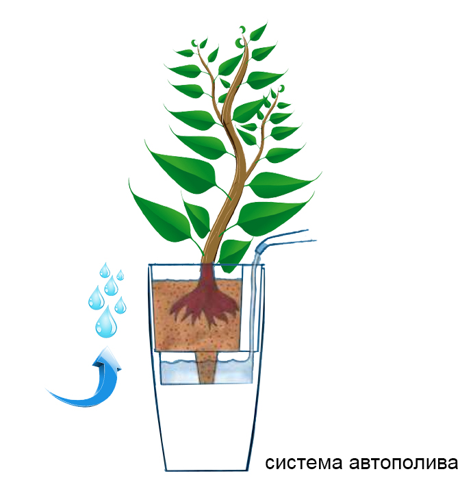 система автополива.jpg система автополива.jpg