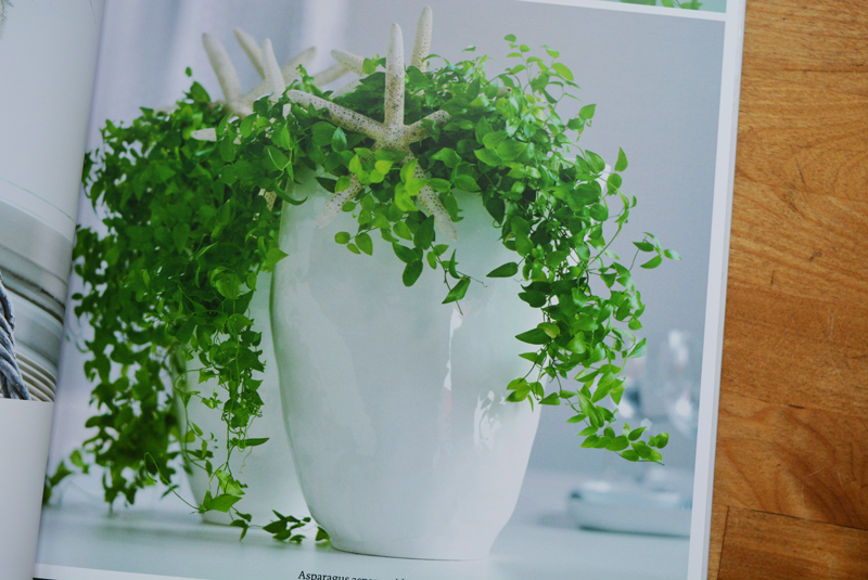 Архитектура-и-растения.-Обзор-книги-«Interior-Design-with-Plants»-07.jpg Архитектура-и-растения.-Обзор-книги-«Interior-Design-with-Plants»-07.jpg