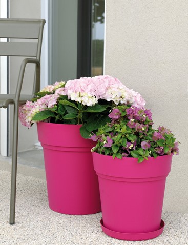 amb_vaso-samba-_-soucoupe-framboise.jpg