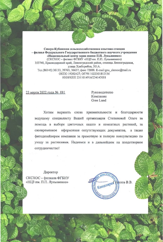 письмо благодарственное.jpg