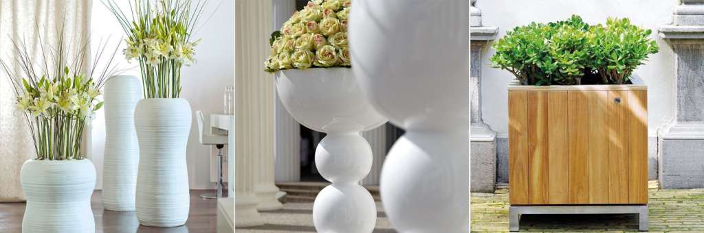 Fleur Ami 07.jpg Fleur Ami 07.jpg