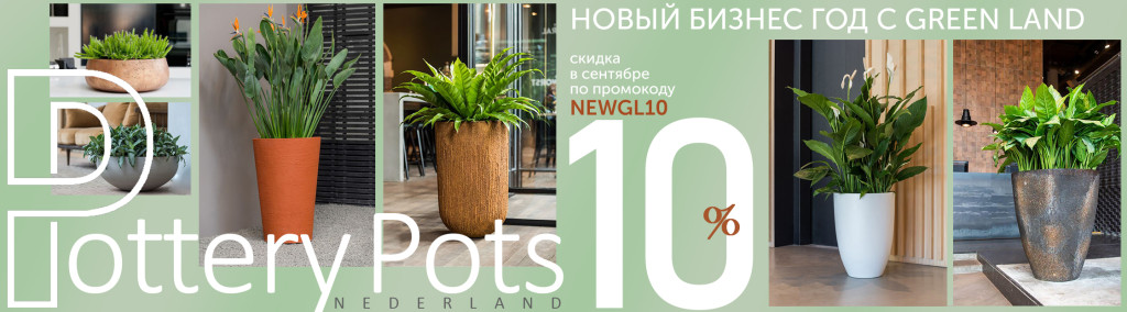 1. PP новый баннер 01.09.22 ОСНОВНОЙ.jpg