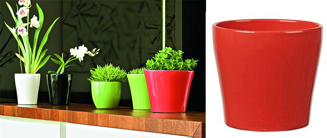 red-planters-04.jpg red-planters-04.jpg