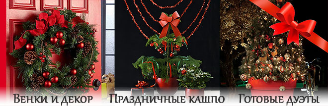 Xmas_0.jpg Xmas_0.jpg
