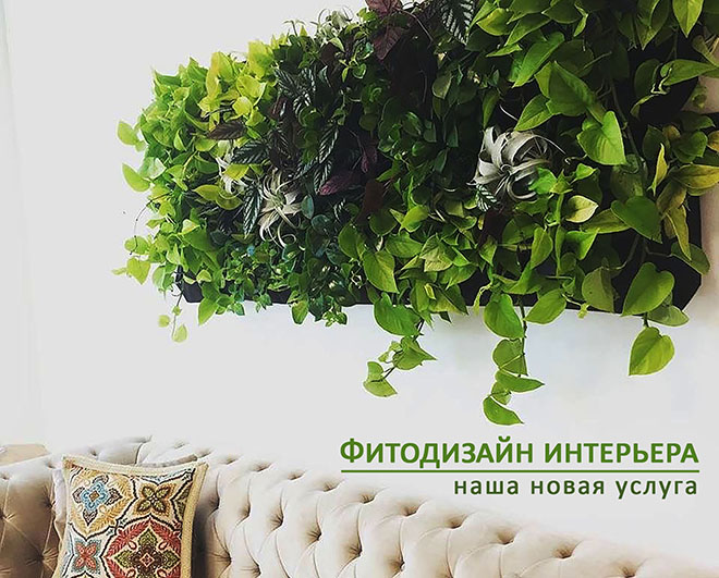 phytodesign_new.jpg phytodesign_new.jpg