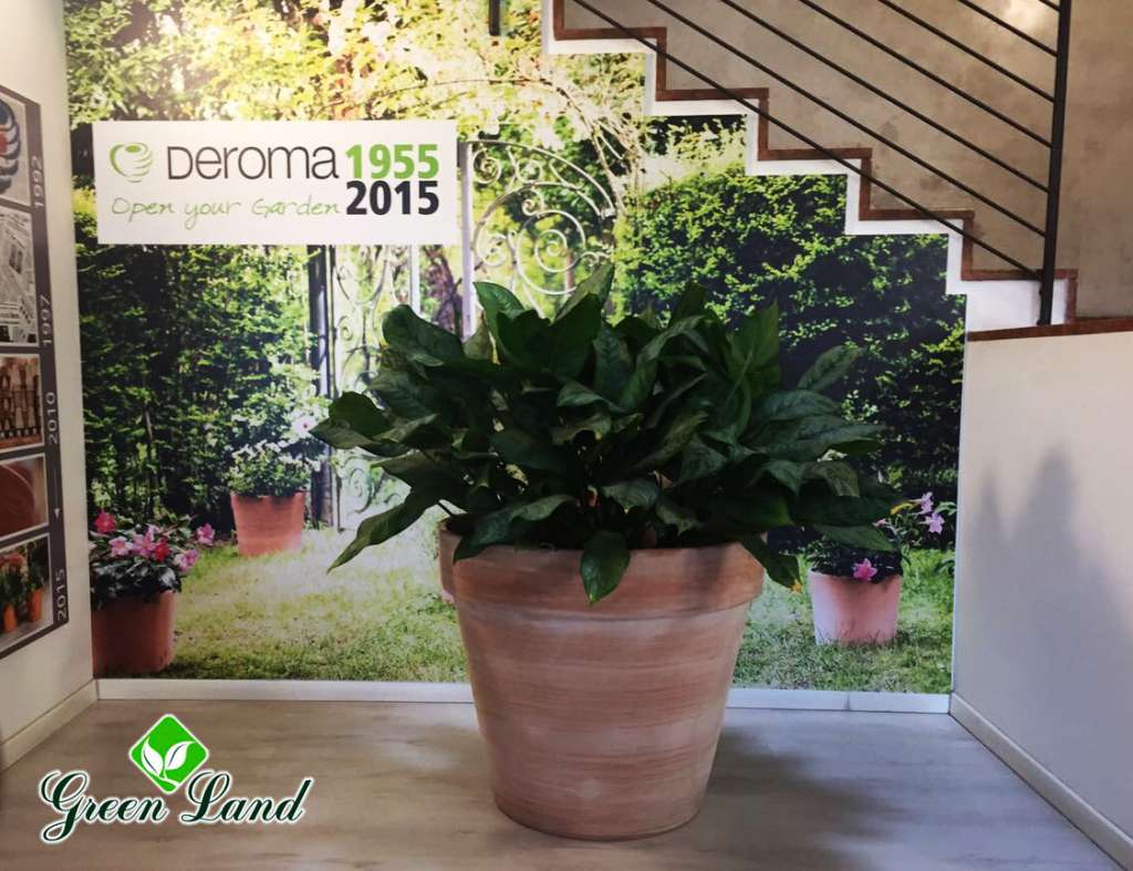 DEROMA-NEWS_04.jpg DEROMA-NEWS_04.jpg