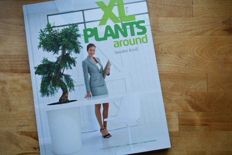 xl-plants-01.jpg xl-plants-01.jpg