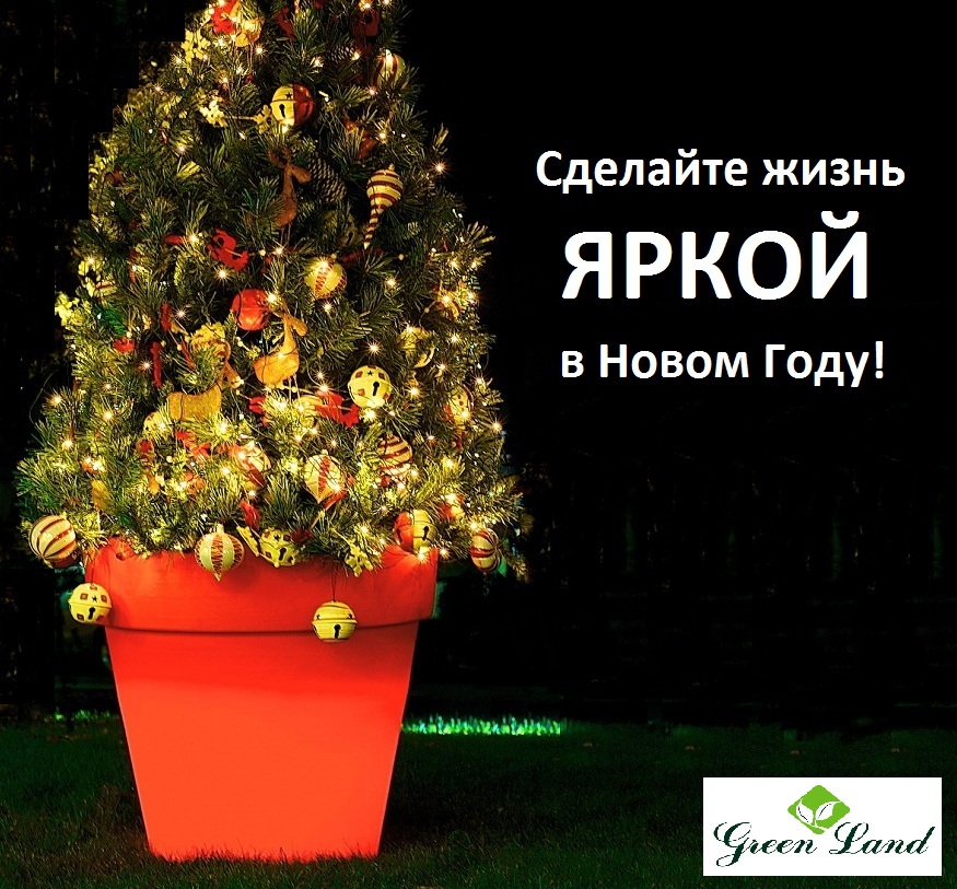 С Новым Годом! С Новым Годом!
