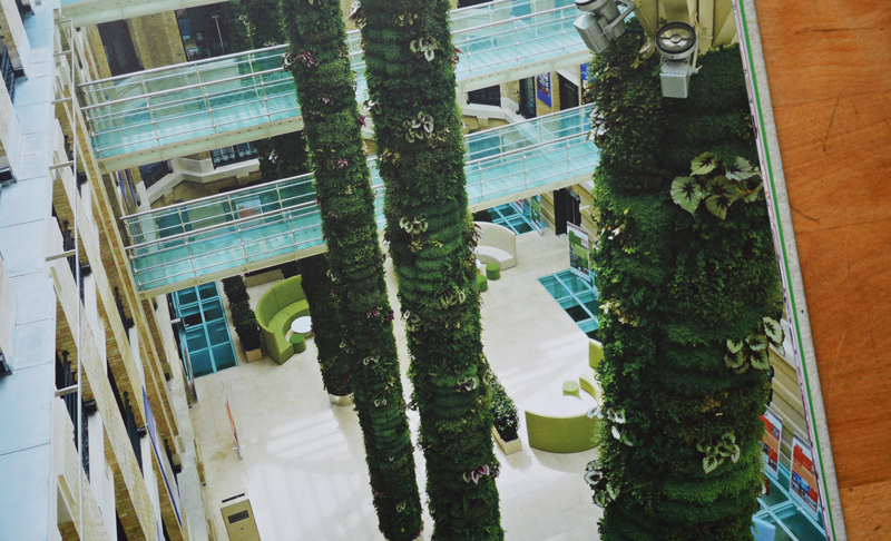 xl-plants-024.jpg xl-plants-024.jpg