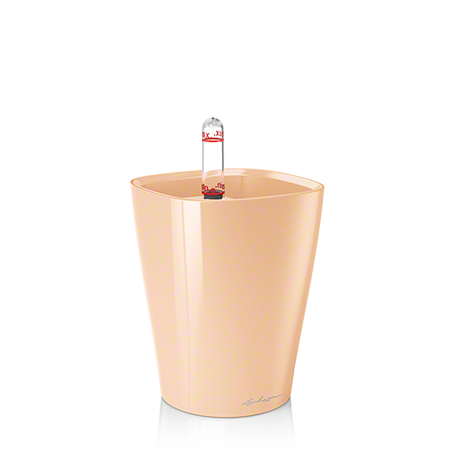 Mini Deltini персиковый.png Mini Deltini персиковый.png