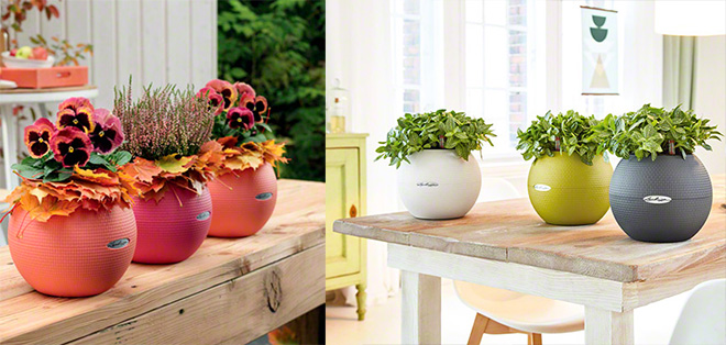 planter as a present 03.jpg planter as a present 03.jpg