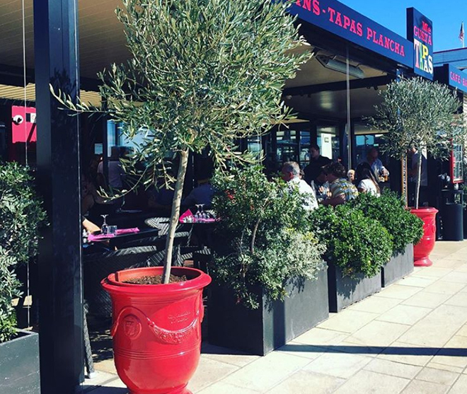 red-planters-02-1.jpg red-planters-02-1.jpg