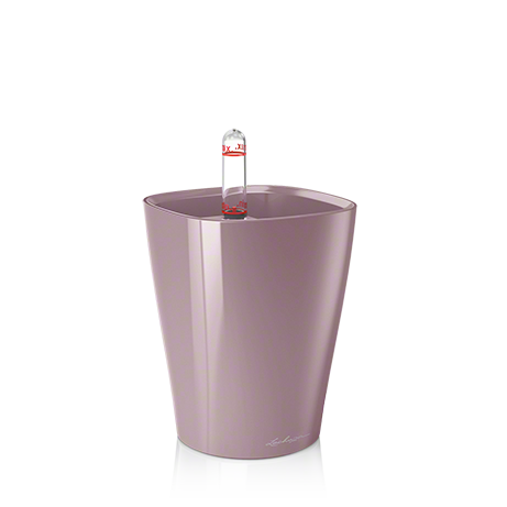 Mini Deltini фиолетовый.png Mini Deltini фиолетовый.png