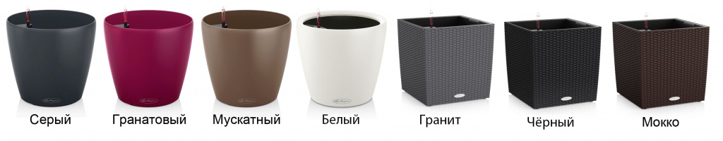 Коллекция Trend.jpg Коллекция Trend.jpg