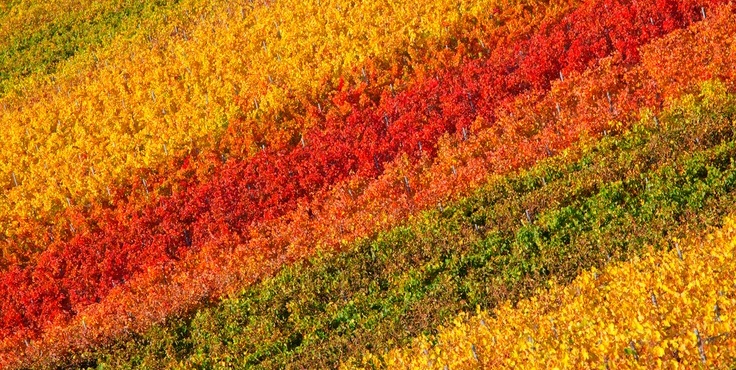 Осенняя радуга.jpg