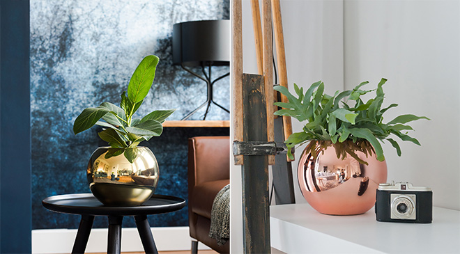 planter as a present 08.jpg planter as a present 08.jpg