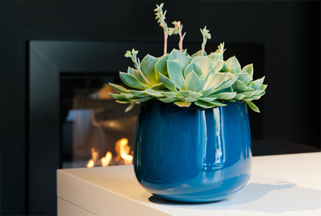 planter as a present 05.jpg planter as a present 05.jpg