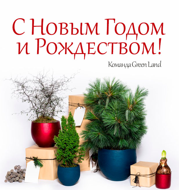 Happy-New-Year-Green-Land.jpg