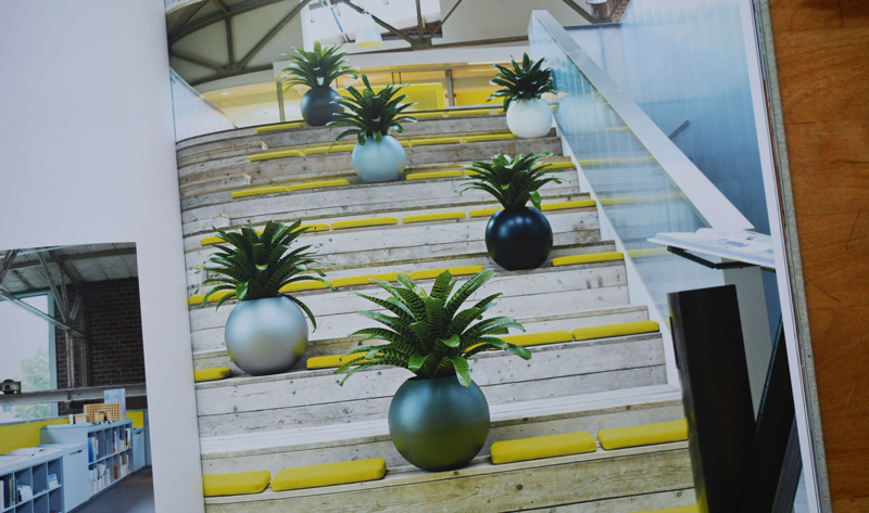 xl-plants-018.jpg xl-plants-018.jpg