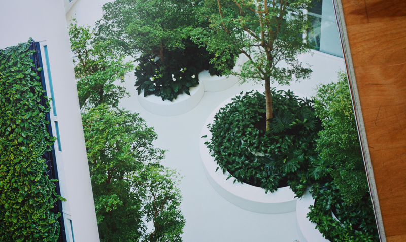 xl-plants-020.jpg xl-plants-020.jpg