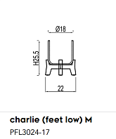 Кашпо CHARLIE на низкой подставке Rough