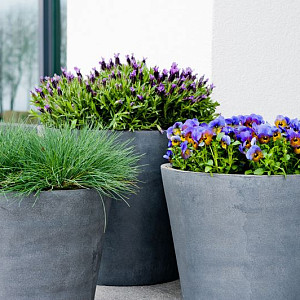 Коллекция Natural бренда Pottery Pots