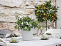 Горшок RE-POT Hoop Round Self Watering Teraplast Италия, материал пластик, доп. фото 8