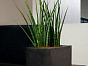 Ящик BALCONY SLIM LOW Natural Pottery Pots Нидерланды, материал файбергласс, доп. фото 2