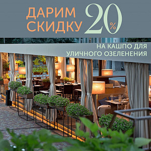 Самое время для уличного озеленения!