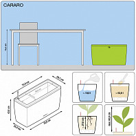 Ящик CARARO Premium