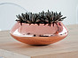 Чаша TARA MINI Platinum Pottery Pots Нидерланды, материал файберстоун, доп. фото 7