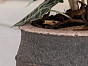 Вазон ATENA Pottery Pots Нидерланды, материал фикостоун, доп. фото 5