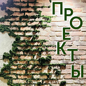 Наши проекты