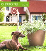 Все кашпо Deroma на одной странице
