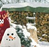 С Новым 2012 Годом!