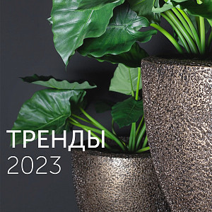 Тренды 2023 в озеленении