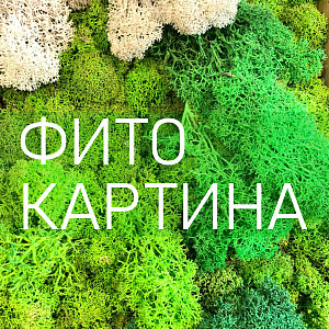 ФИТОКАРТИНА - модный тренд в вертикальном озеленении