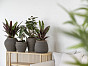 Вазон HERA Pottery Pots Нидерланды, материал фикостоун, доп. фото 4