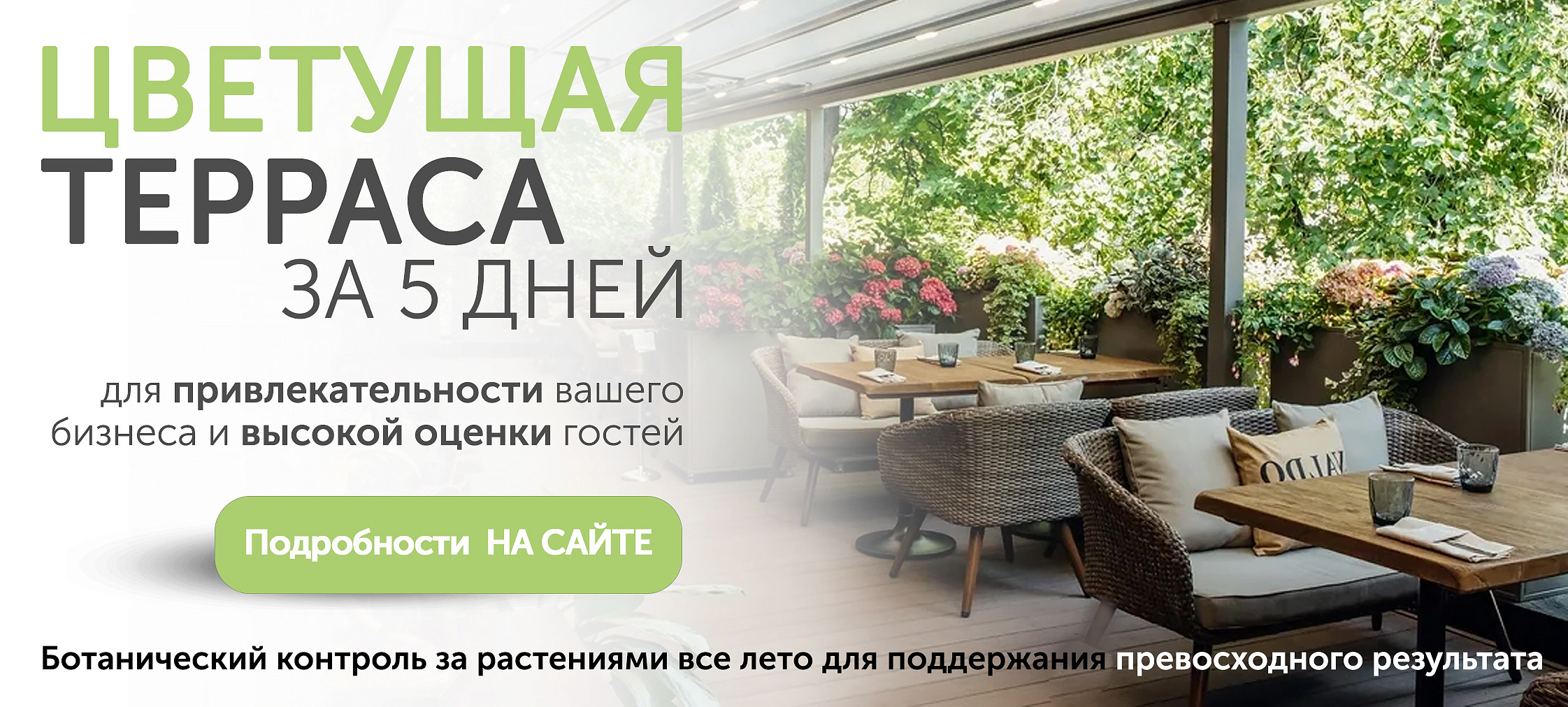 ТЕРРАСЫ 2025